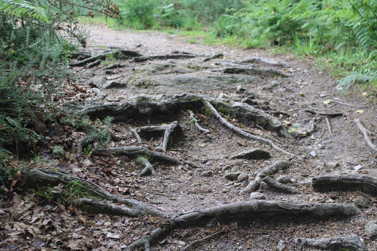 산티아고데콤포스텔라 Casa De Piedra Tipica 빌라 외부 사진