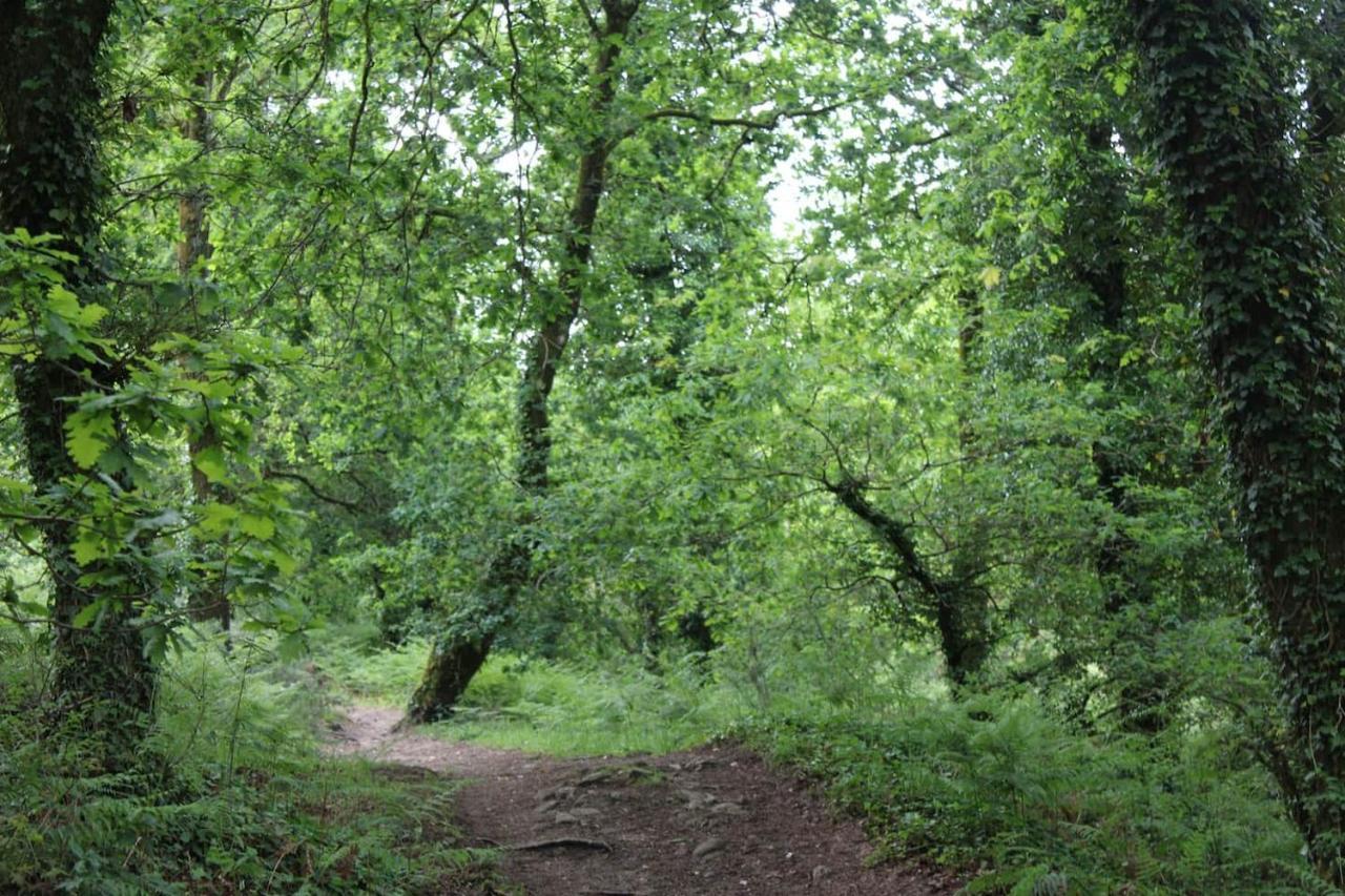 산티아고데콤포스텔라 Casa De Piedra Tipica 빌라 외부 사진